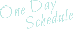 One Day Schedule